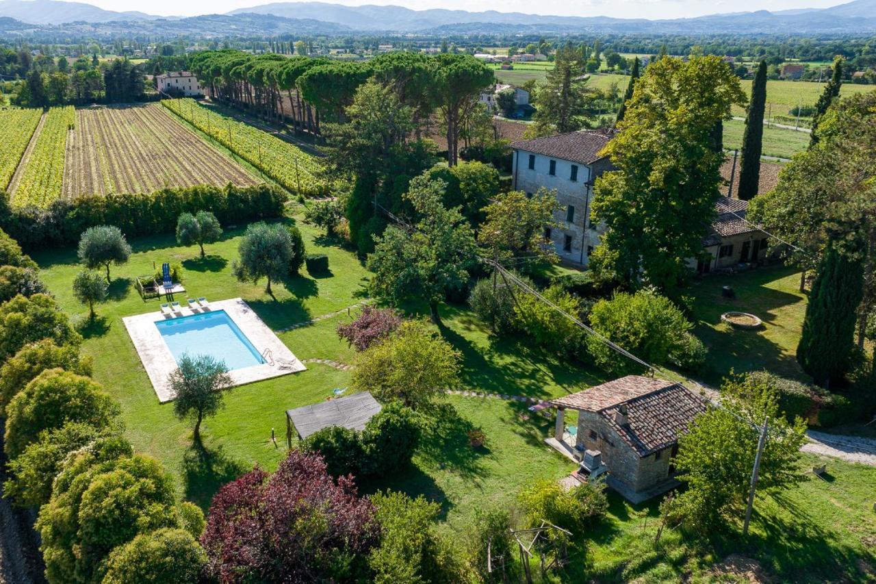 Villa Lama By Mmega Buitenkant foto